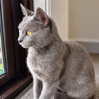 Photo of Indy