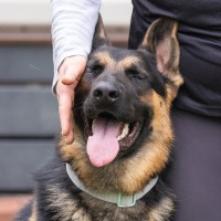 Photo of Riot
