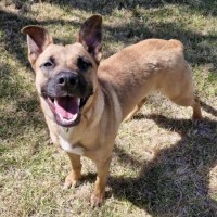 Photo of Powderfinger