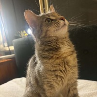 Photo of Lemon 🍋