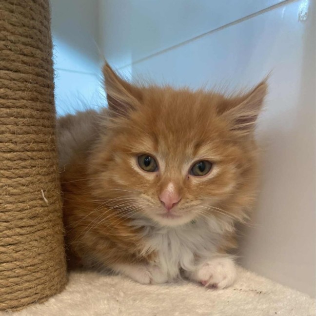 Photo of Sunshine ☀️