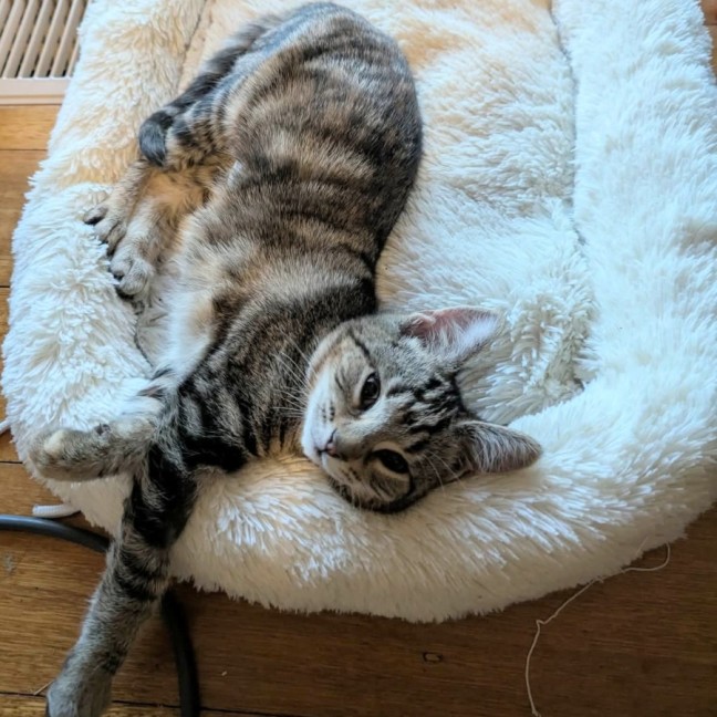 Photo of Ci Ci