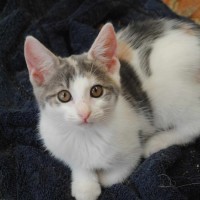 Photo of Kirrily