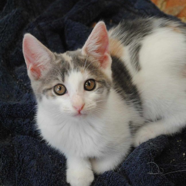 Photo of Kirrily