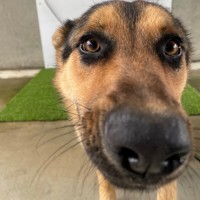 Photo of Nellie