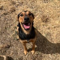 Photo of Striker