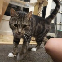 Photo of Bean