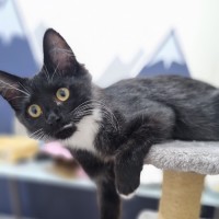 Photo of Ivy
