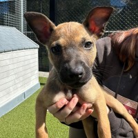 Photo of D1166 Miss Hilda