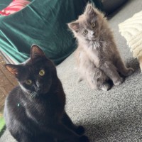 Photo of Lenny & Stormy