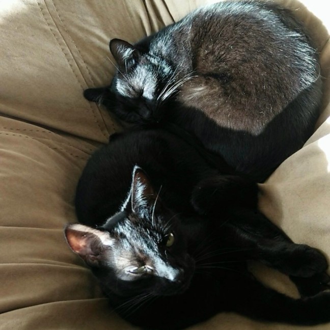 Photo of Cas & Frankie