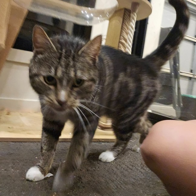 Photo of Bean
