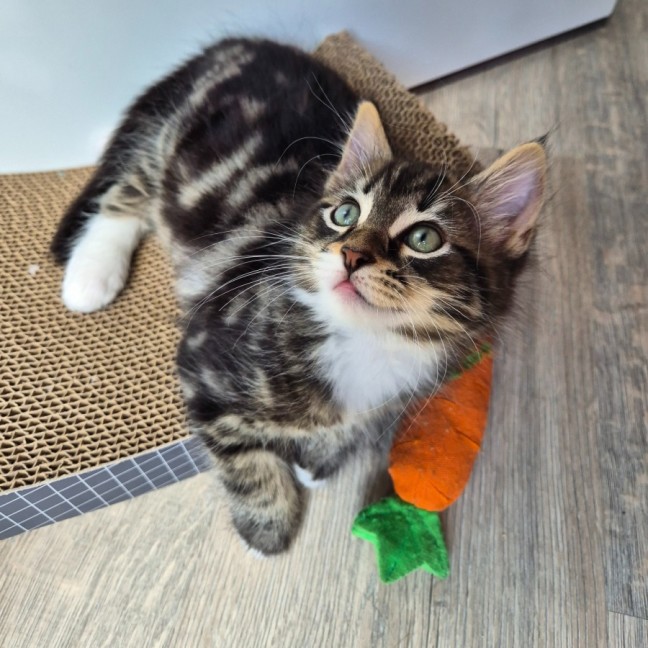 Photo of Caspian 💙