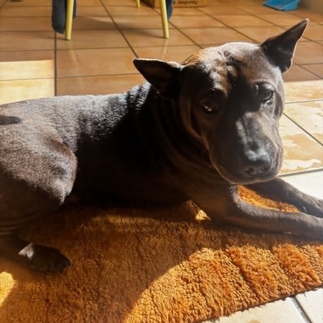Photo of Rosie