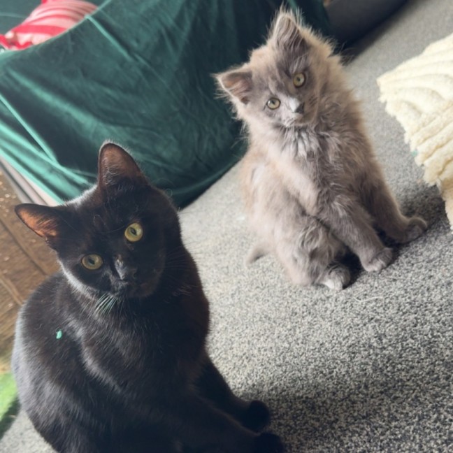 Photo of Lenny & Stormy