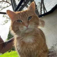 Photo of Kingston 