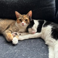 Photo of Evie And Lemme