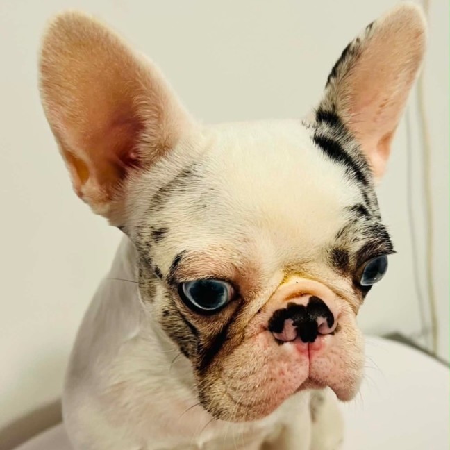 Photo of Minnie