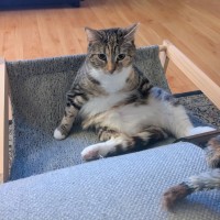 Photo of Charlotte