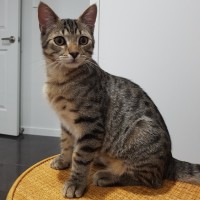 Photo of Pete