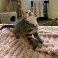 Photo of Bean & Munchkin