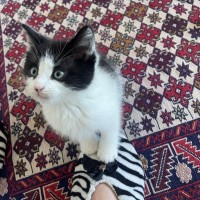 Photo of Mickey And Minnie