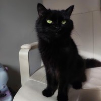 Photo of Eclipse 🖤