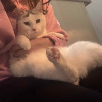 Photo of Nora   In Foster Care In Fawkner