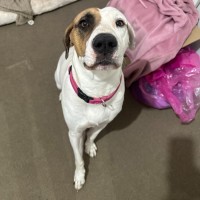 Photo of Dakota