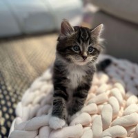 Photo of 🍀 Paddy 🍀