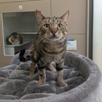 Photo of Jeremy Wade