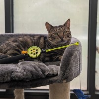 Photo of Jeremy Wade