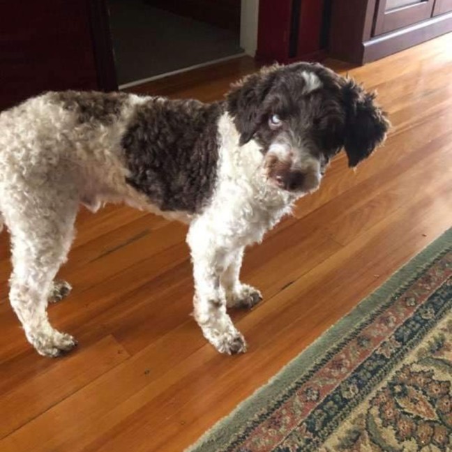 Photo of Rupert