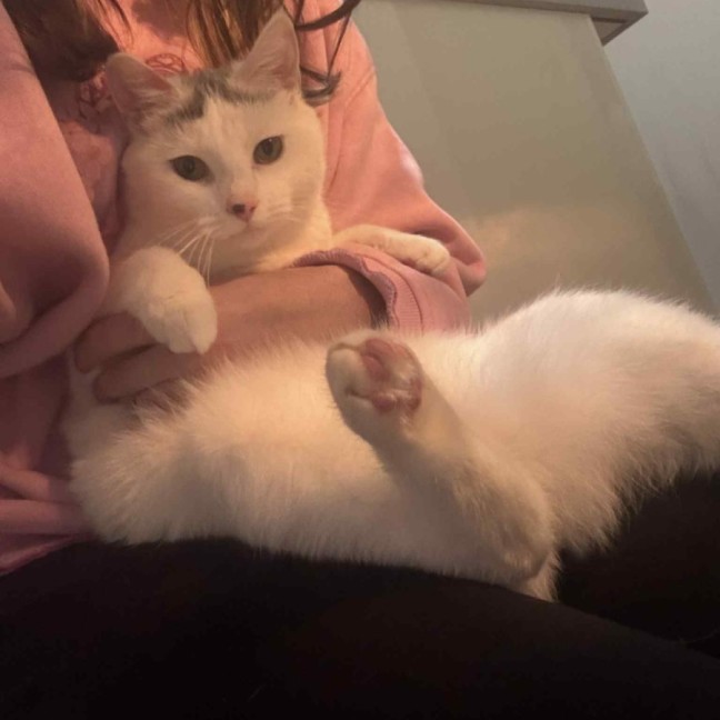 Photo of Nora   In Foster Care In Fawkner