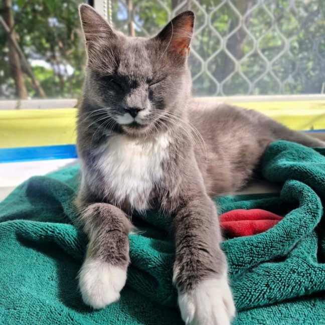 Photo of Misty