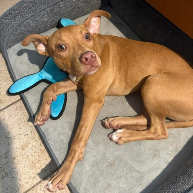 Photo of Murphy