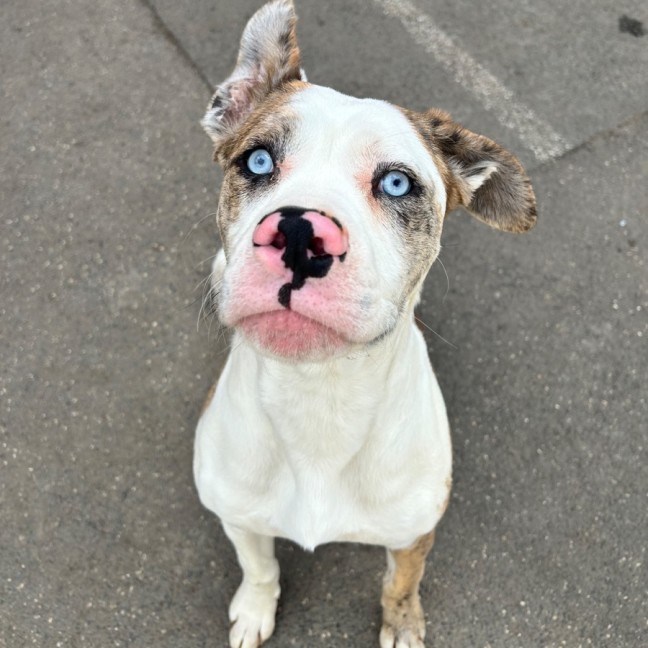 Photo of Kailani