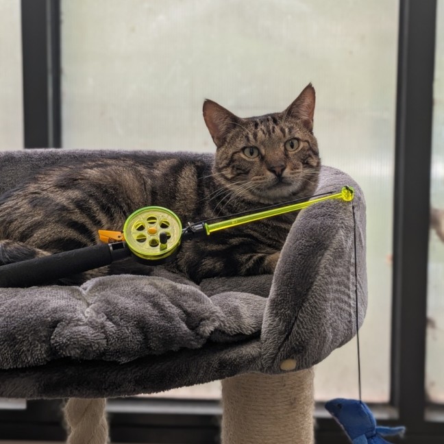 Photo of Jeremy Wade