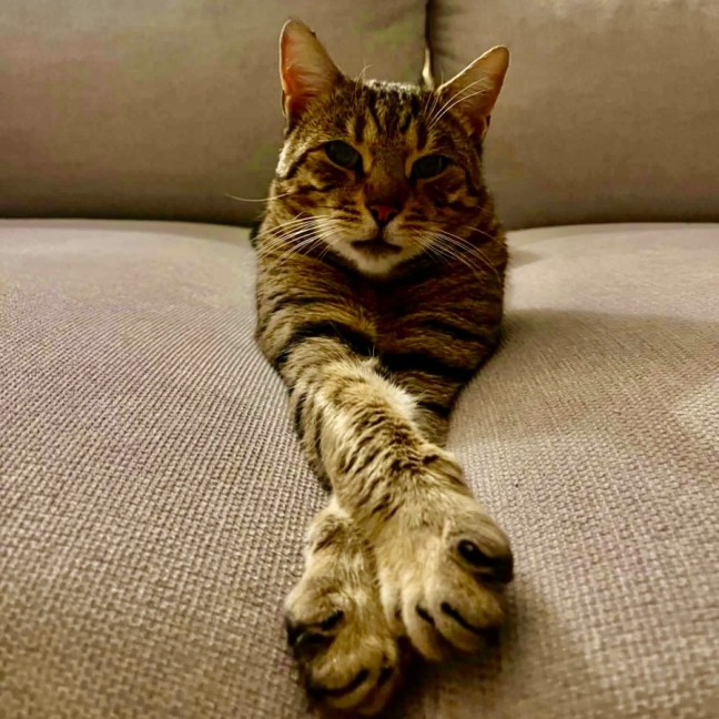 Photo of Leo
