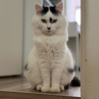 Photo of Timmy