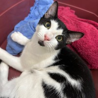 Photo of Violet And Klaus