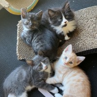 Photo of Mykonos 💙