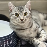 Photo of Sprout