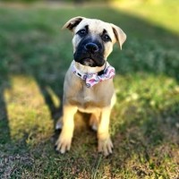 Photo of Coco