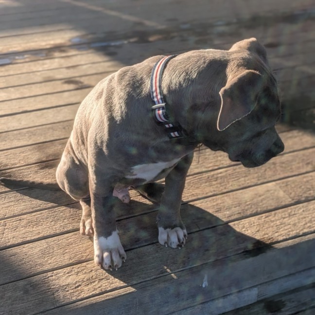 Photo of Bubba Gump