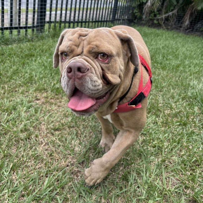 Photo of Rosie