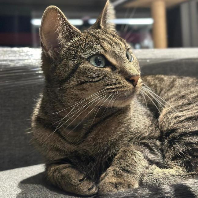 Photo of Simone