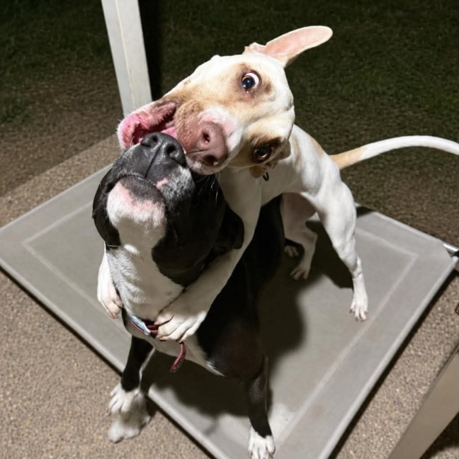 Photo of Daisey