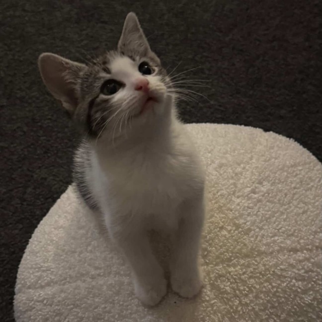 Photo of Freddie & Poppy