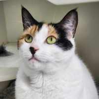 Photo of 🎡 Angelica 5623 🎡